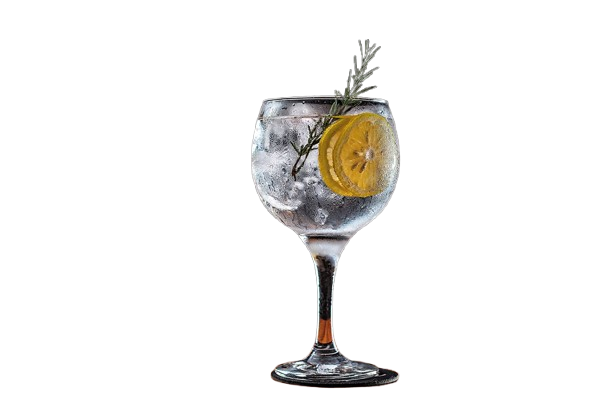 Gin Tônica